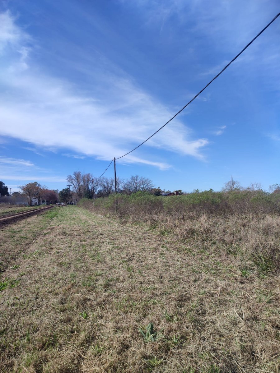 2586c3c56daade928c13fffb0f666b98