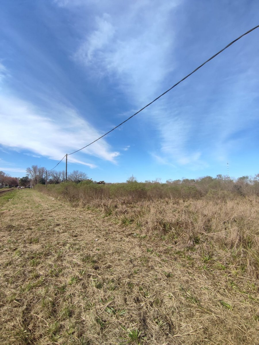 2a3a2e46c932ba23384517e523a6c588